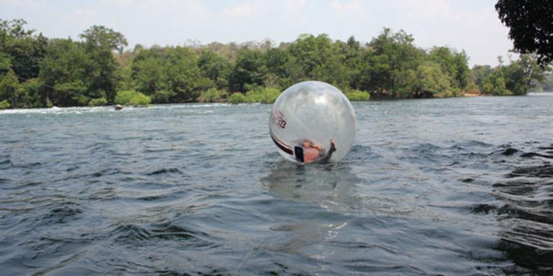 zorbing
